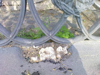 Прикрепленное изображение: 1.jpg